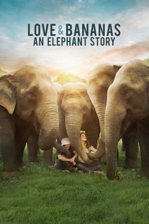 Love & Bananas: An Elephant Story's poster