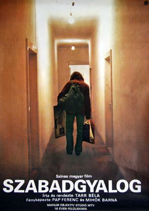 The Outsider's poster