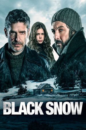 Black Snow's poster