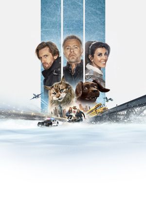 Cat and Dog's poster