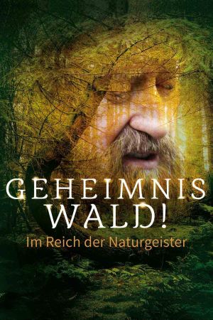 Geheimnis Wald! – Im Reich der Naturgeister's poster