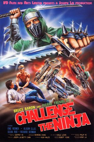 Challenge of the Ninja's poster
