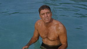 The Swimmer's poster
