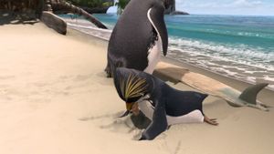 Surf's Up's poster