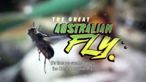 The Great Australian Fly's poster