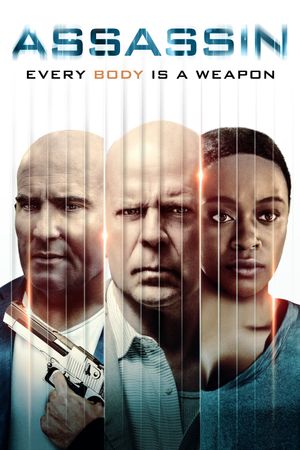 Assassin's poster