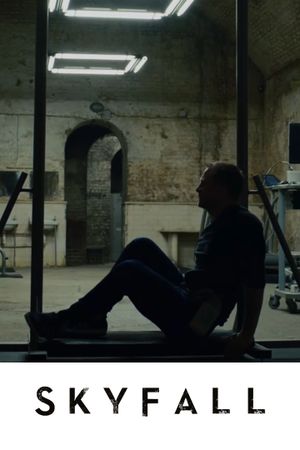 Skyfall's poster