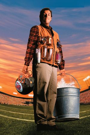 The Waterboy's poster