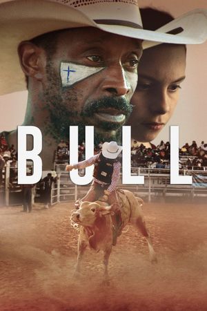 Bull's poster image