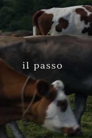 Il passo's poster