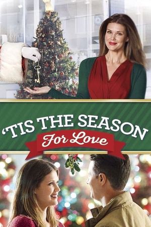 'Tis the Season for Love's poster