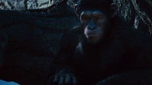 Rise of the Planet of the Apes's poster