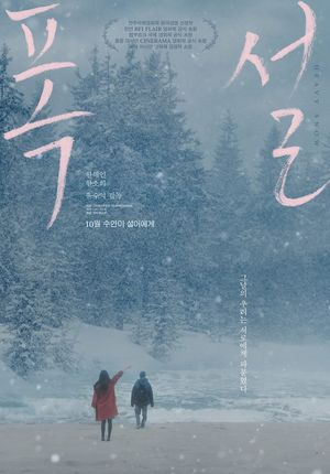 Heavy Snow's poster