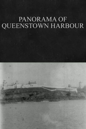Panorama of Queenstown Harbour's poster