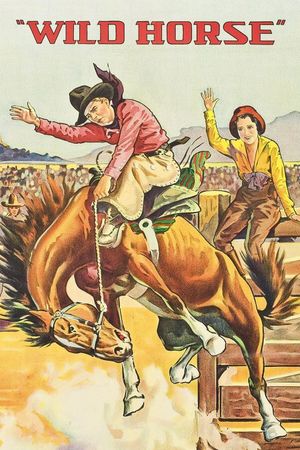 Wild Horse's poster