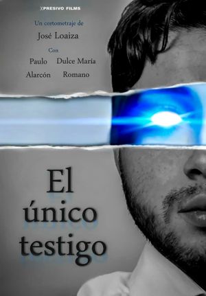 El único testigo's poster