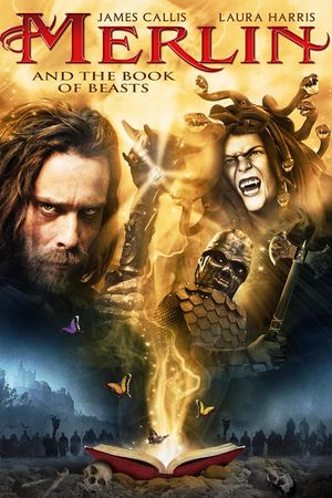 Merlin and the Book of Beasts's poster