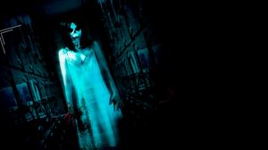 Paranormal Asylum: The Revenge of Typhoid Mary's poster