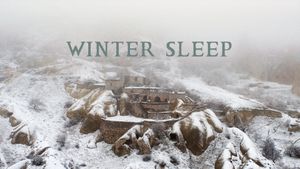 Winter Sleep's poster