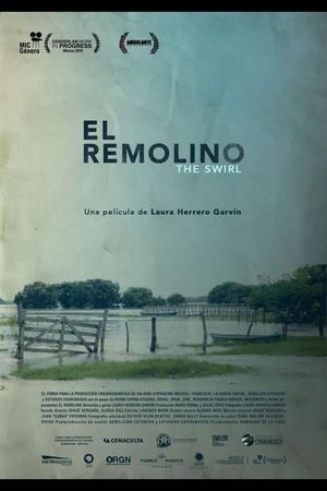 El Remolino's poster