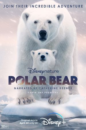 Polar Bear's poster