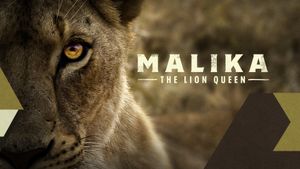 Malika the Lion Queen's poster