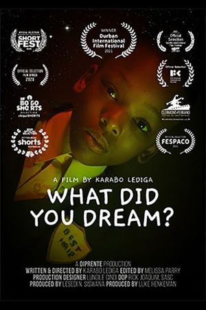 What Did You Dream?'s poster