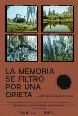 La memoria se filtró por una grieta's poster