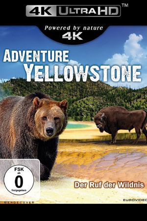 Adventure Yellowstone - Der Ruf der Wildnis's poster