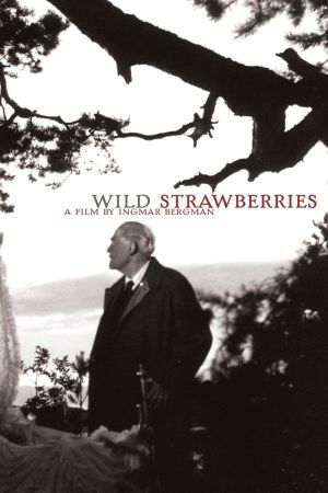 Wild Strawberries's poster