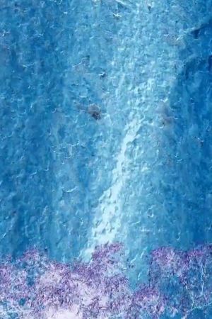 Uluru's poster