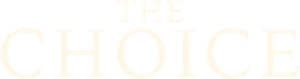 The Choice's poster