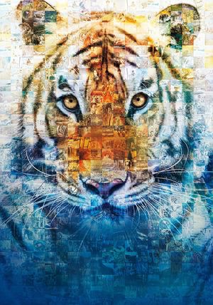 Life of Pi's poster