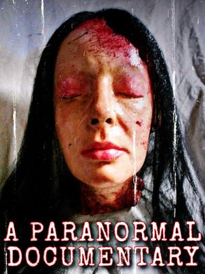 A Paranormal Documentary's poster