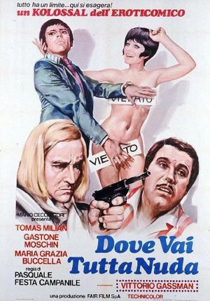 Dove vai tutta nuda?'s poster