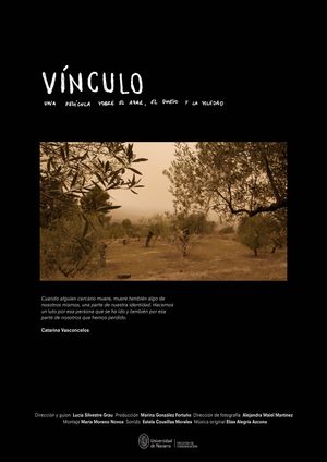 Vínculo's poster