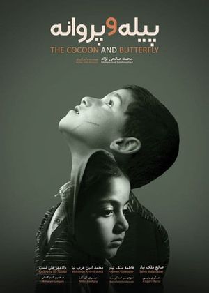 Cocoon & Butterfly's poster