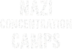 Nazi Concentration and Prison Camps's poster