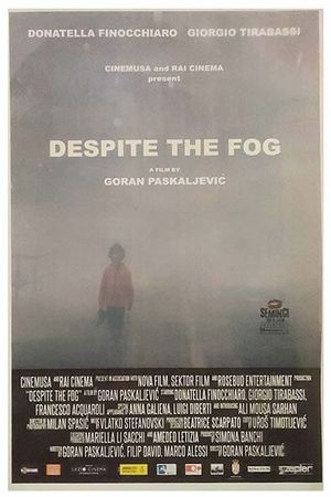 Nonostante la nebbia's poster image