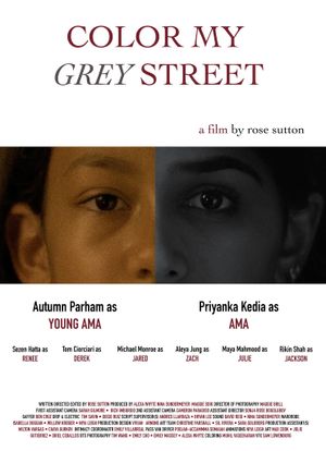 Color My Grey Street's poster