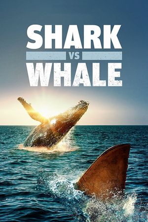 Shark Vs. Whale's poster