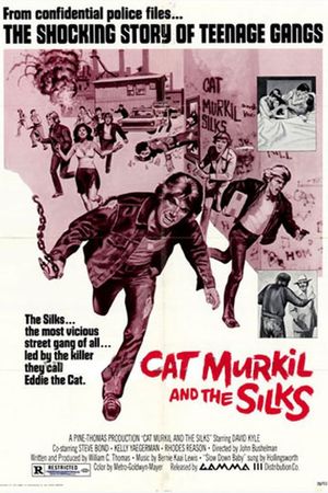 Cat Murkil and the Silks's poster
