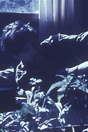 Films by Stan Brakhage: An Avant-Garde Home Movie's poster