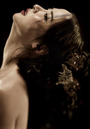 The Concubine's poster