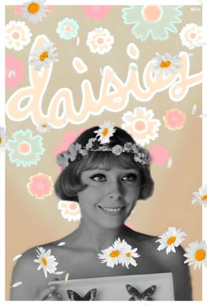 Daisies's poster