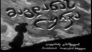 Magdana's Donkey's poster