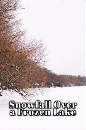 Snowfall Over a Frozen Lake's poster