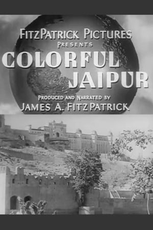 Colorful Jaipur's poster