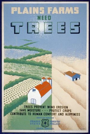 Windbreaks on the Prairies's poster