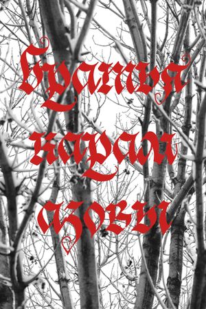 Brothers Karamazov's poster